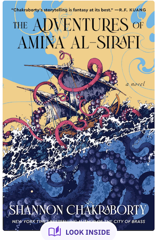 the adventures of amina al-sirafi book cover