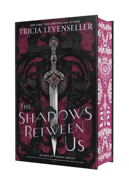 the shadows between us book cover